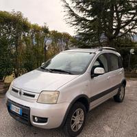 Fiat Panda 4x4 GPL