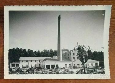 fotografia segheria avellino FOTO ARTE 1940(2/3)