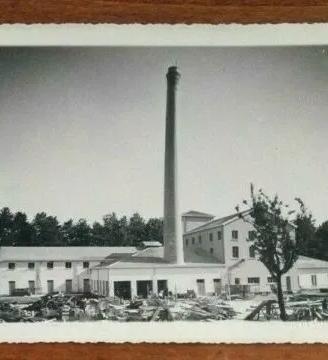 fotografia segheria avellino FOTO ARTE 1940(2/3)