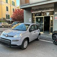 FIAT Panda 1.0 FireFly Hybrid -Pronta Consegna N