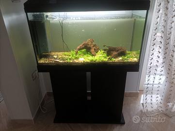 acquario Tenerif 88