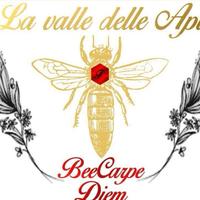 Az. Ag.La Valle delle api - fogli cerei 10