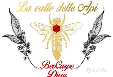 Az. Ag.La Valle delle api - fogli cerei 10