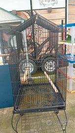 gabbie per uccelli