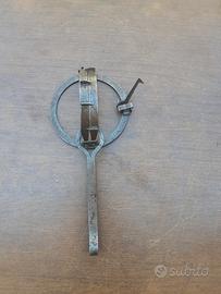 TAGLIOLA  VINTAGE 