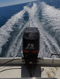 Barca prendisole mercury 75 cavalli