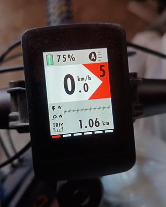 e-bike MTB Olimpia performer 