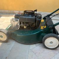 Tagliaerba Papillon pulizia giardino