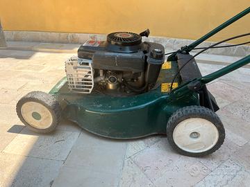 Tagliaerba Papillon pulizia giardino