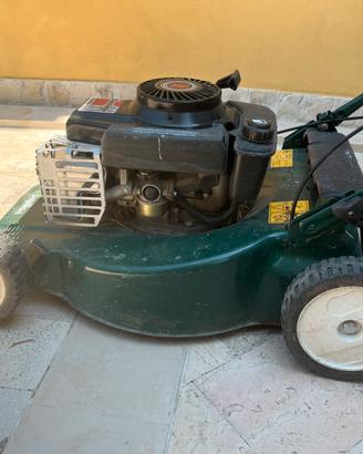 Tagliaerba Papillon pulizia giardino