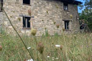 Rustico/Casale/Corte Assisi [GRIM2743VRG]