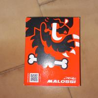 malossi 80 cc 