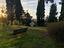Immagine 14