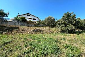 Terreno Residenziale Imperia [Cod. rif 802VRG]