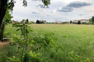 Terreno edificabile Via Arditi Bavaria di Nervesa