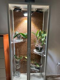 Vetrina serra per piante tropicali