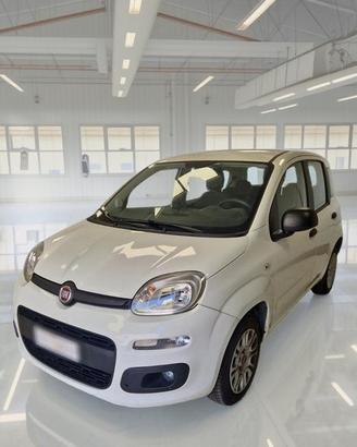 FIAT PANDA 1.2 69 CV SES E6D-TEMP EASY 5 PORTE BER
