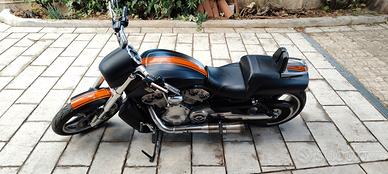 Harley Davidson v-rod Muscle