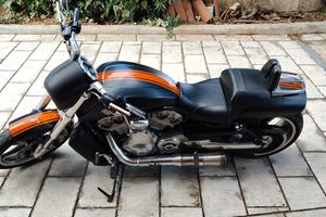 Harley Davidson v-rod Muscle