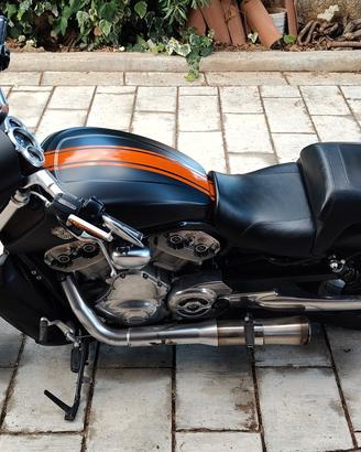 Harley Davidson v-rod Muscle