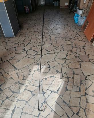 canna da pesca. + fucile subacqueo 