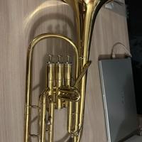 Flicorno contralto weril