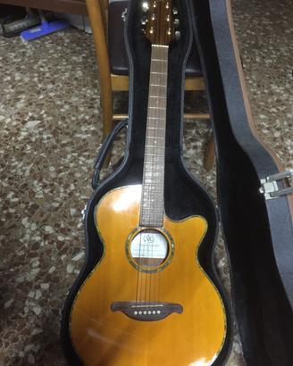 Chitarra acustica eletrica