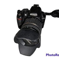 Nikon D3100 Tamron AF 18-200mm F/3.5-6.3