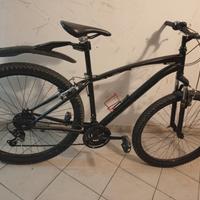 bicicletta sportiva 