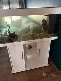 Acquario juwel 180 litri