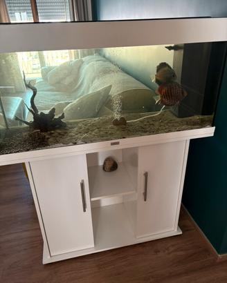 Acquario juwel 180 litri