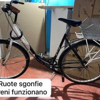 Bicicletta con cestello