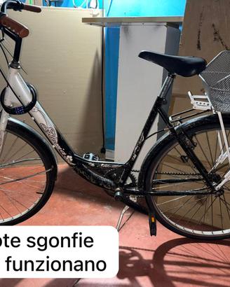 Bicicletta con cestello