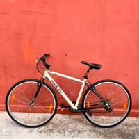 Bicicletta mountain bike