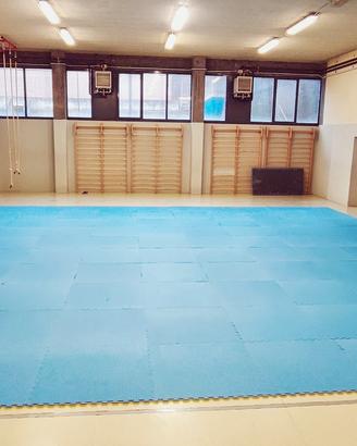 Tatami Pro per Arti Marziali
