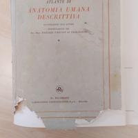 Atlante di Anatomia Umana