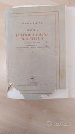 Atlante di Anatomia Umana