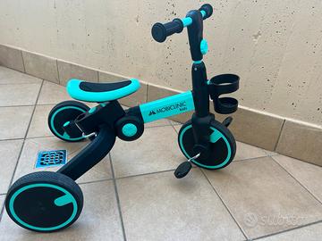 Triciclo evolutivo