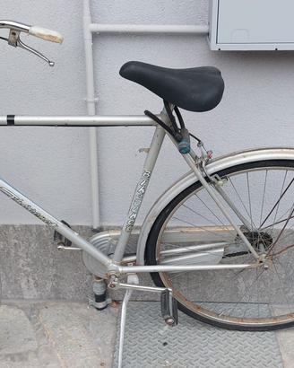 bicicletta da uomo