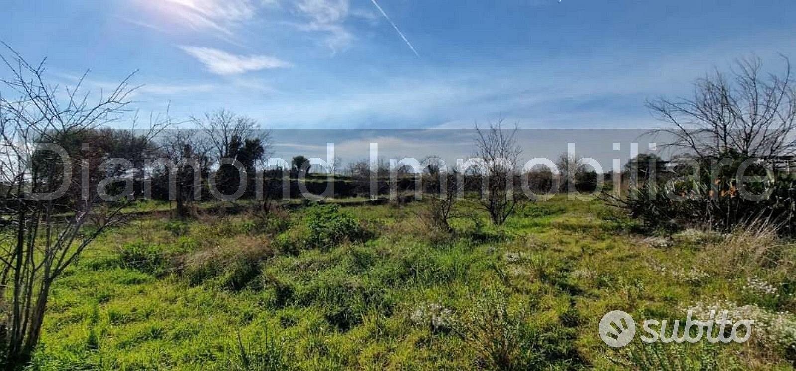 Terreno agricolo parz. edifi San Giovanni la punta - Vista 2