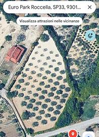 80 piante ulivo alta resa. Poca spesa di gestione