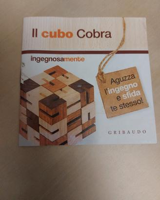 gioco in legno