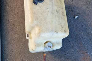 vaschetta lavafari panda sisley 