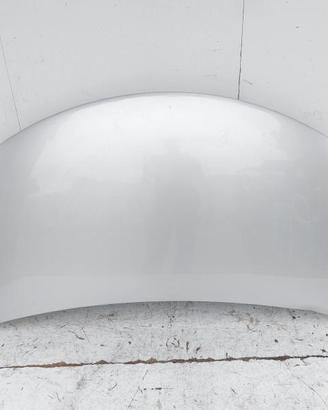 57300M68K00-000 COFANO ANTERIORE SUZUKI ALTO (GF) 