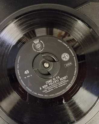 Vinile 45giri "gli enigmisti"