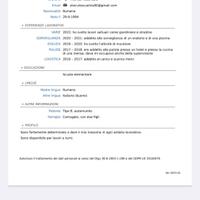 Magazzino,corriere,giardiniere,imbianchino,ecc