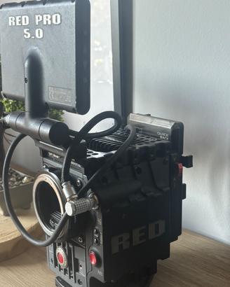 Red Scarlet MX