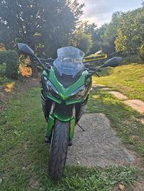Kawasaki Ninja 1000 SX (2021 - 24)