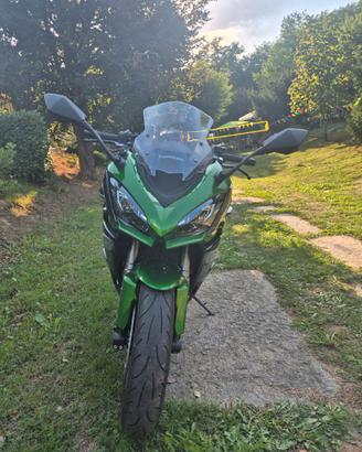 Kawasaki Ninja 1000 SX (2021 - 24)