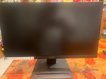 Monitor MSI